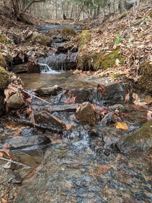 Serene & Cozy - Peaceful View - Fireplace - Creek Fleetwood Esterno foto